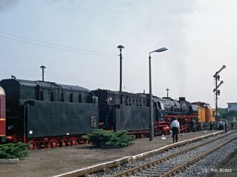 <p>Wegen fehlender Dokumente ist die Weiterfahrt durch Polen für die Lok 01 1066 vorläufig in Kostryzin (Küstrin) zu Ende. Foto: Peter Reinhard</p>